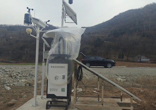 烽云物联团队打造太白高标准农田数字监测网——开启精准农业新模式