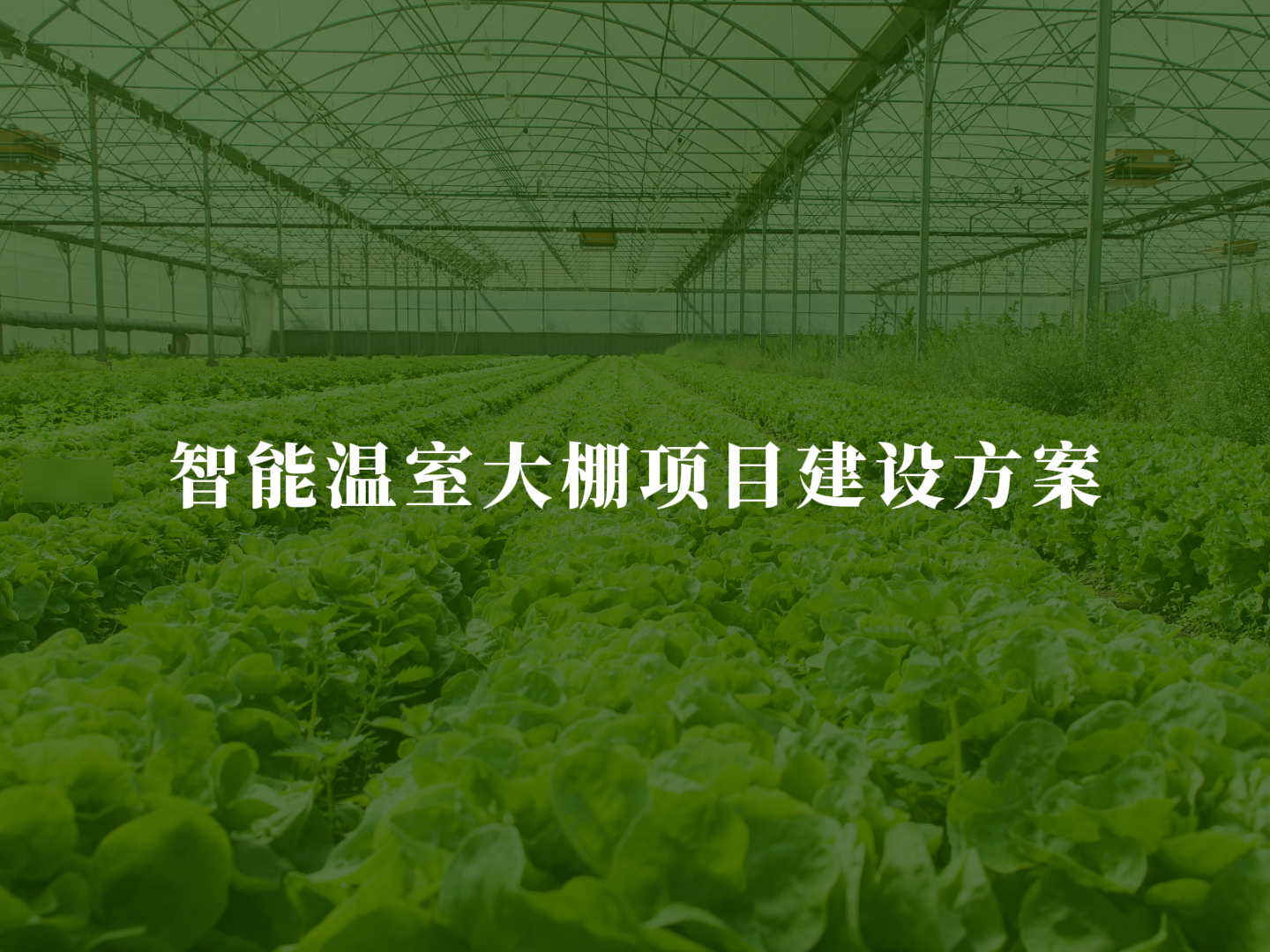 智能温室大棚项目建设方案