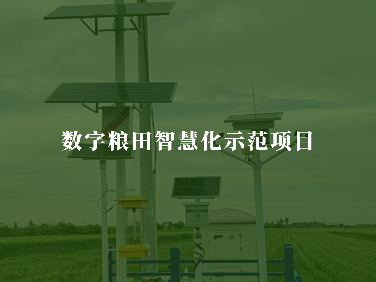 数字粮田智慧化示范项目