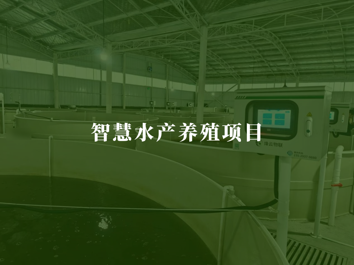智慧水产养殖项目