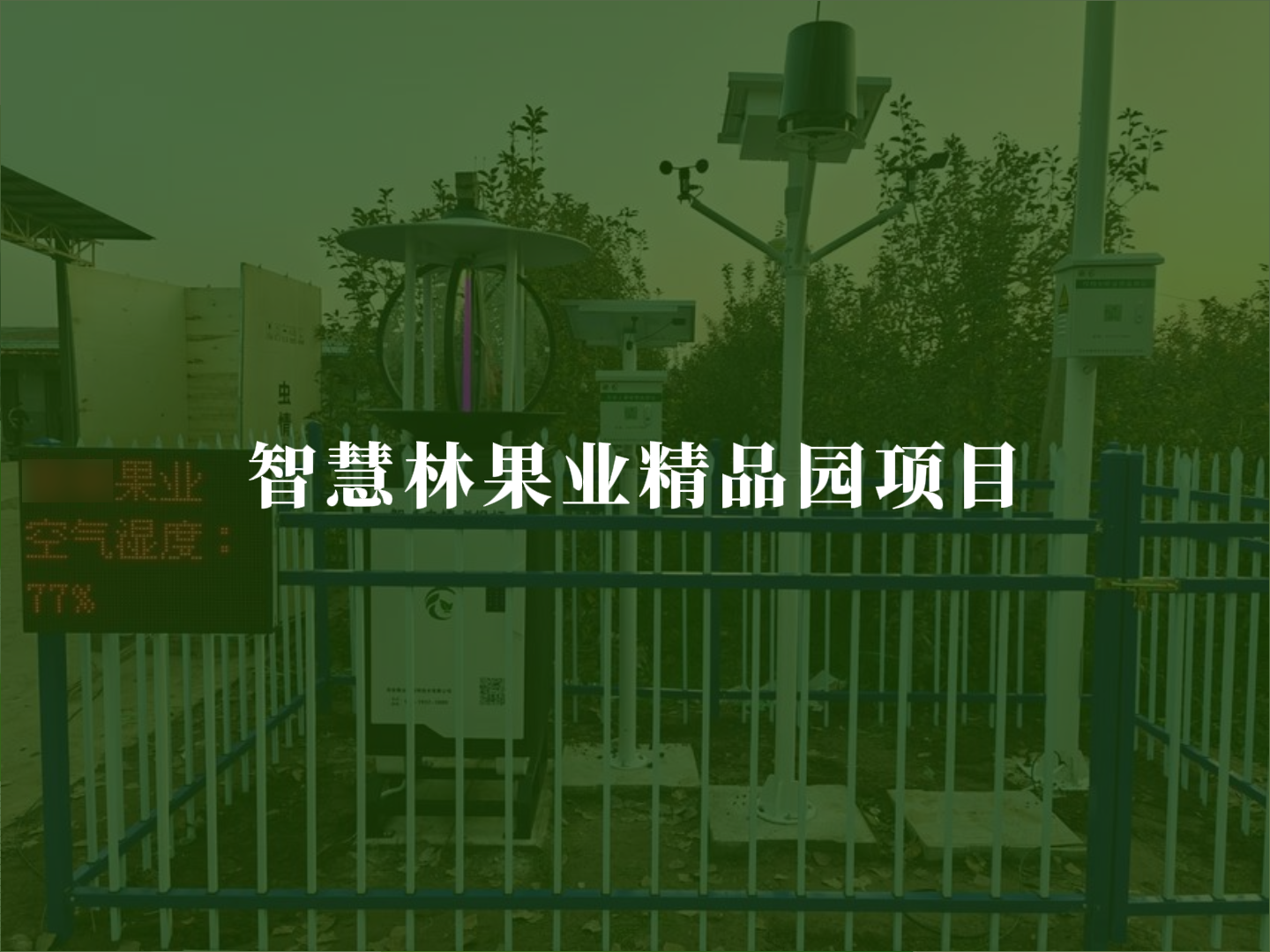 智慧林果业精品园项目