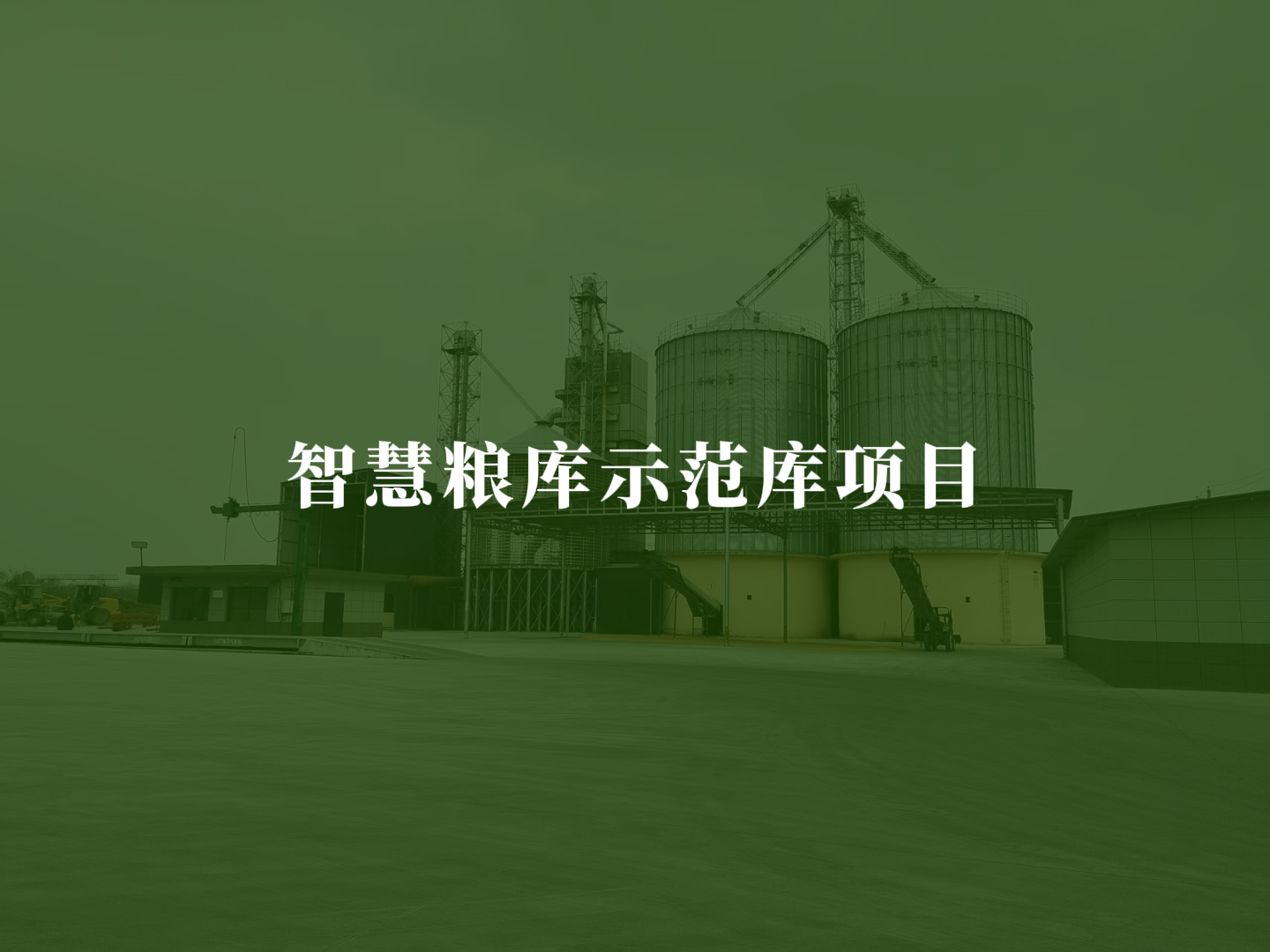 智慧粮库示范库项目
