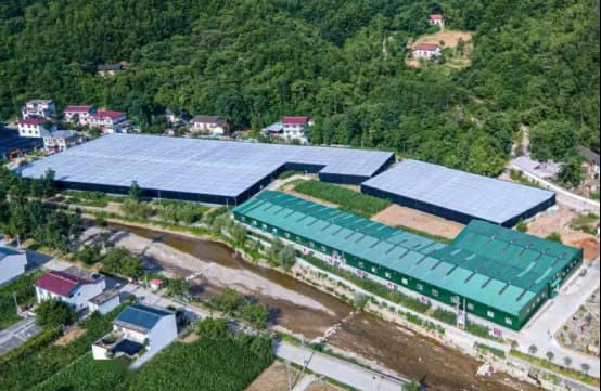 镇安县大坪镇现代产业园区建设项目